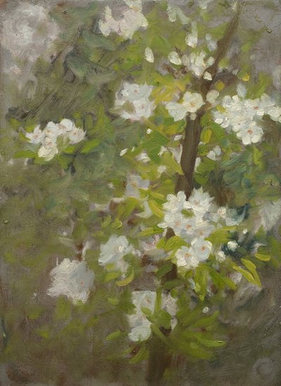 White Blossom by Henry Scott Tuke
